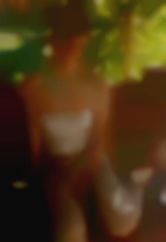- Educated swingers Business Owner.